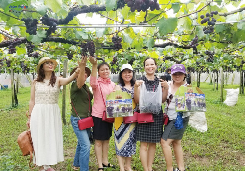Hình kỷ niệm tour Đài Loan hái trái cây theo mùa khởi hành ngày 12-6-2019